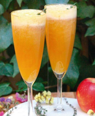 Espumoso Probiótico de Manzana con GINGER Kombutxa