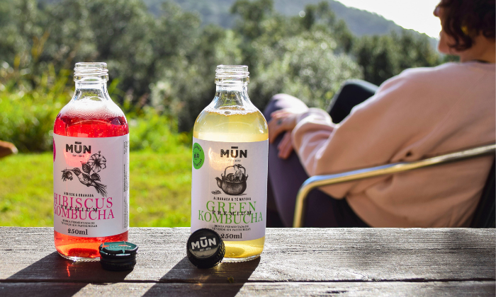 MIX PACK | 12 botellas 250 ml