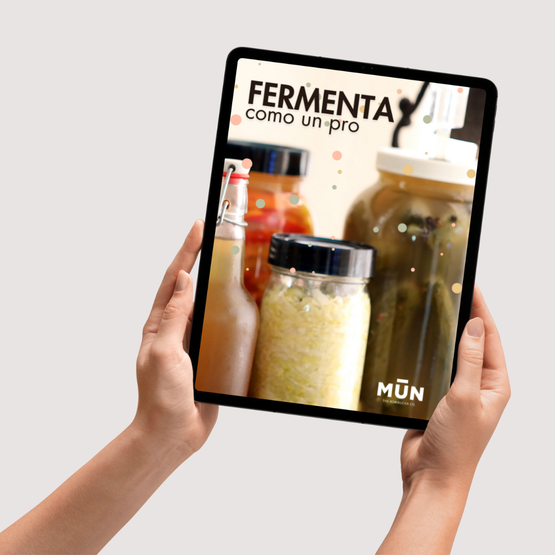 Libro en formato digital FERMENTA COMO UN PRO