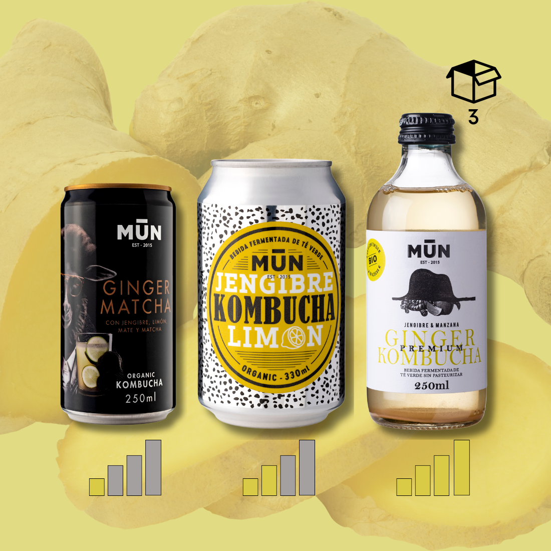 TRY Ginger Pack Addict