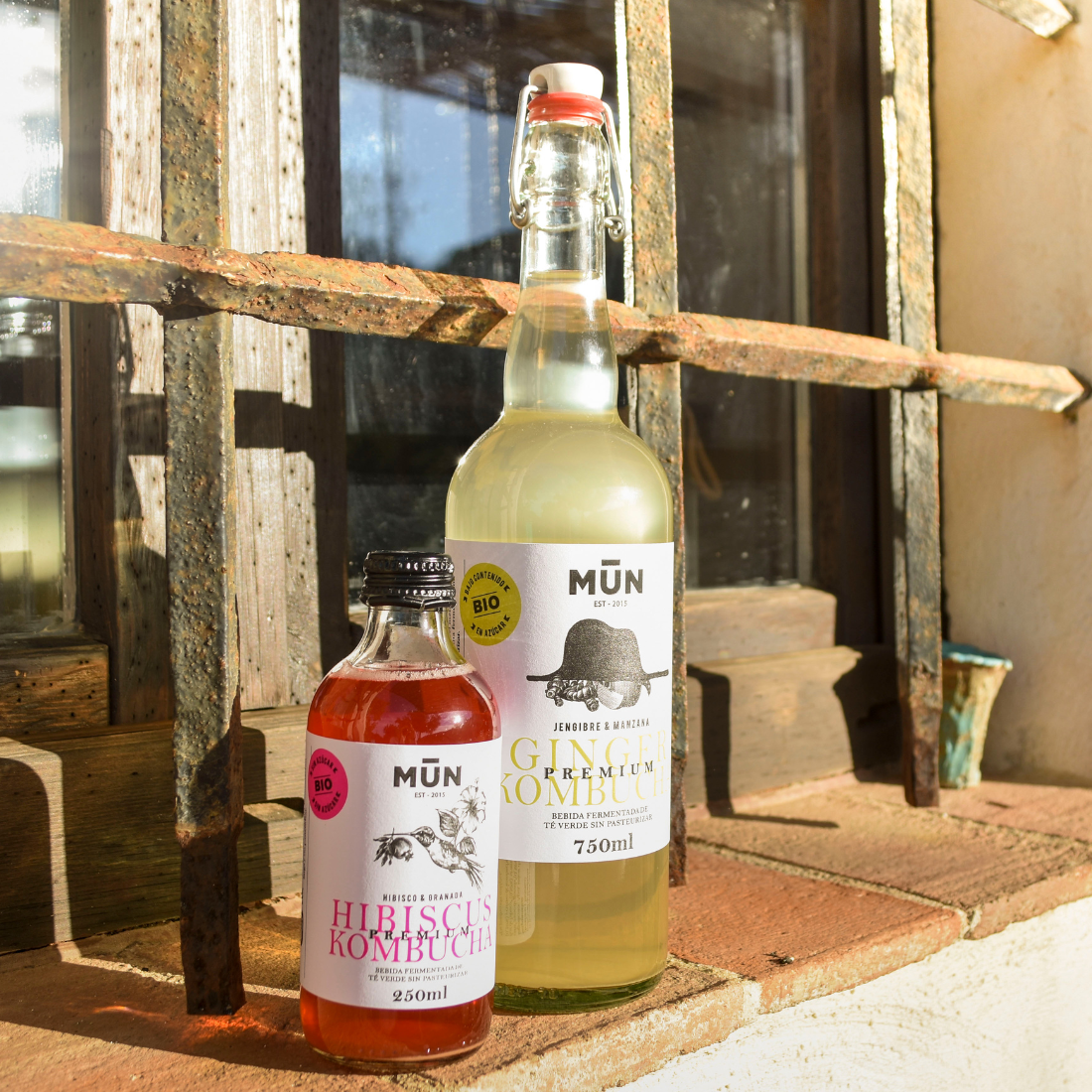 Premium GINGER | 6 botellas 750 ml