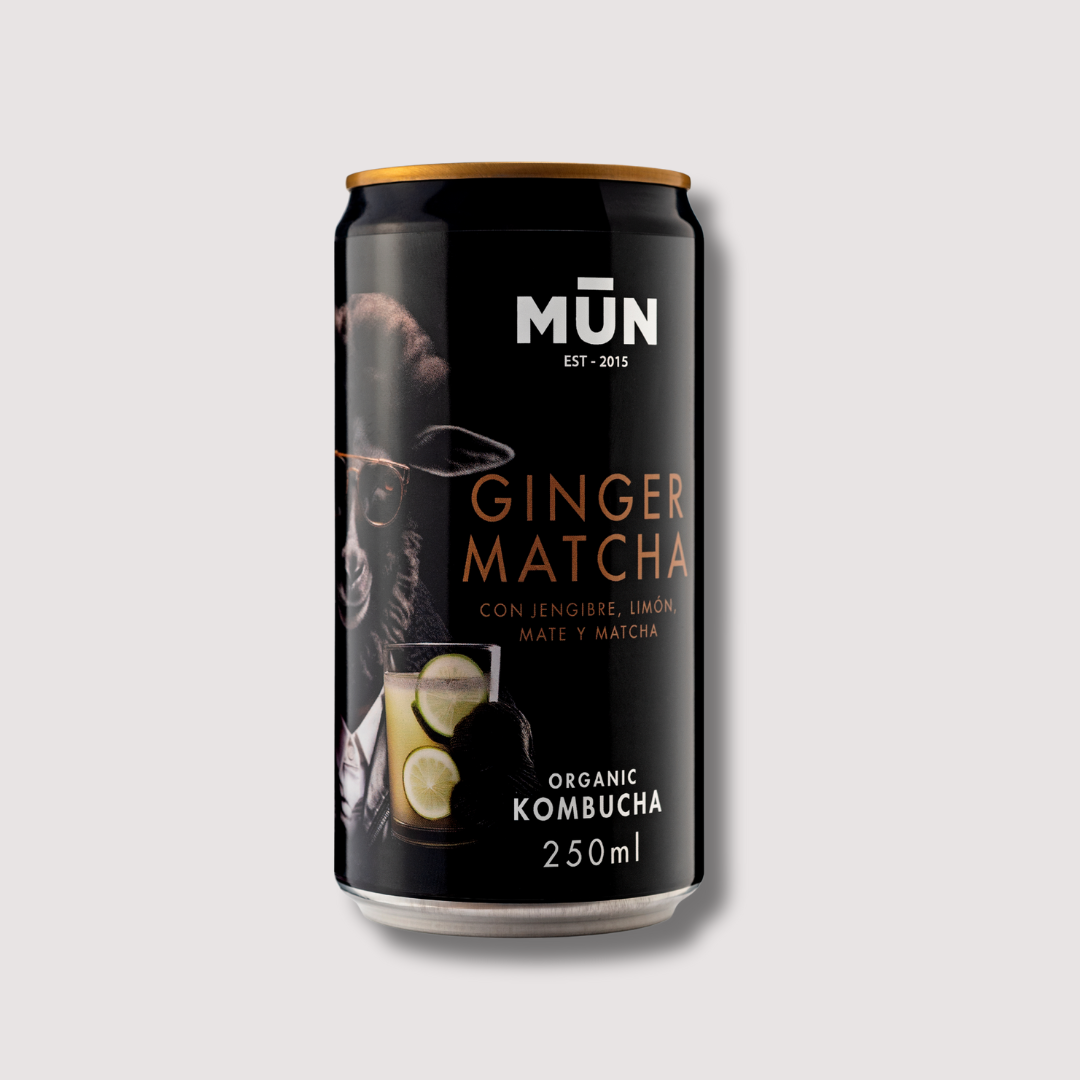RADIKAL Ginger-Matcha | 16 cans 250 ml