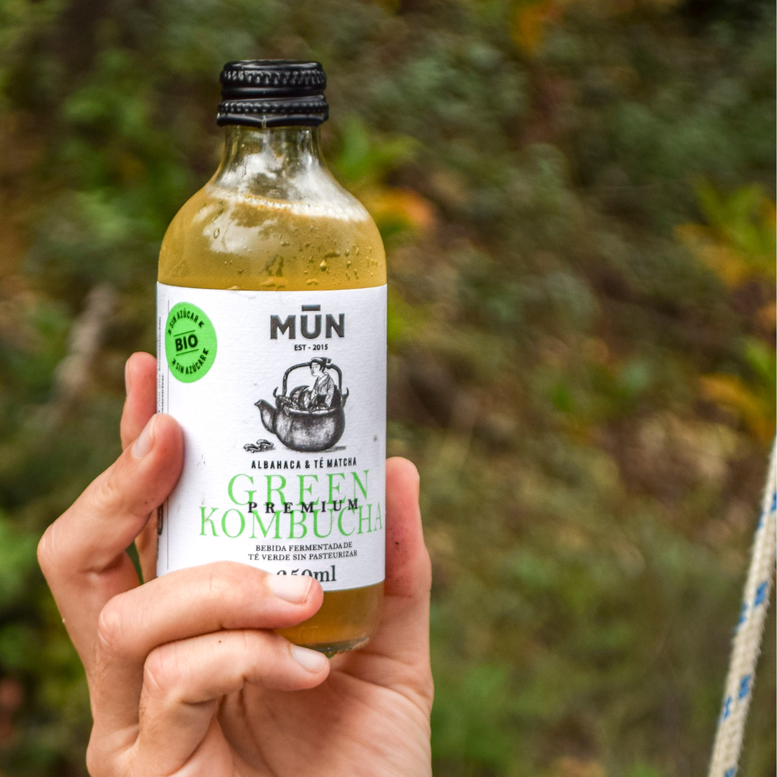 Premium GREEN | 12 botellas 250 ml