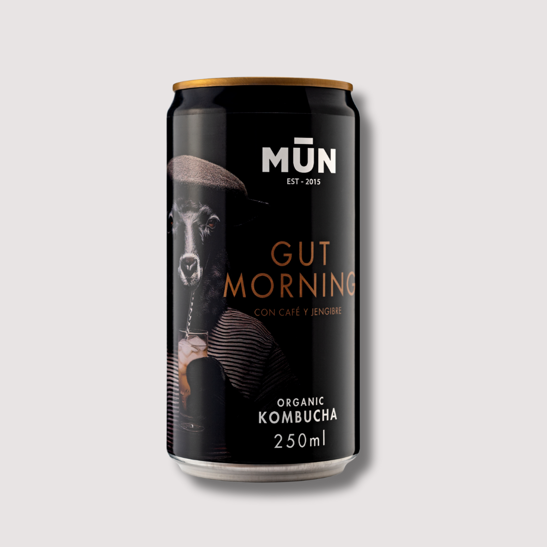 RADIKAL Gut Morning | 16 cans 250 ml