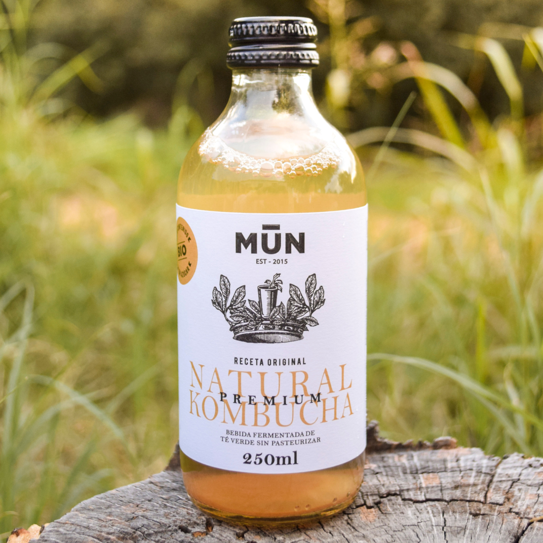 STARTER PACK 250 | 12 botellas 250 ml