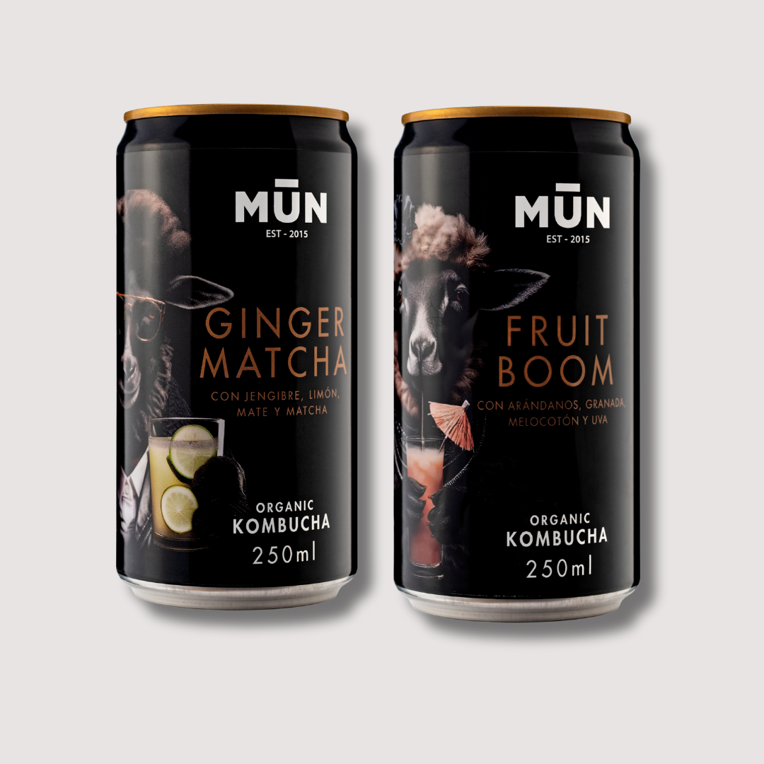 RADIKAL Mix | 16 cans 250 ml