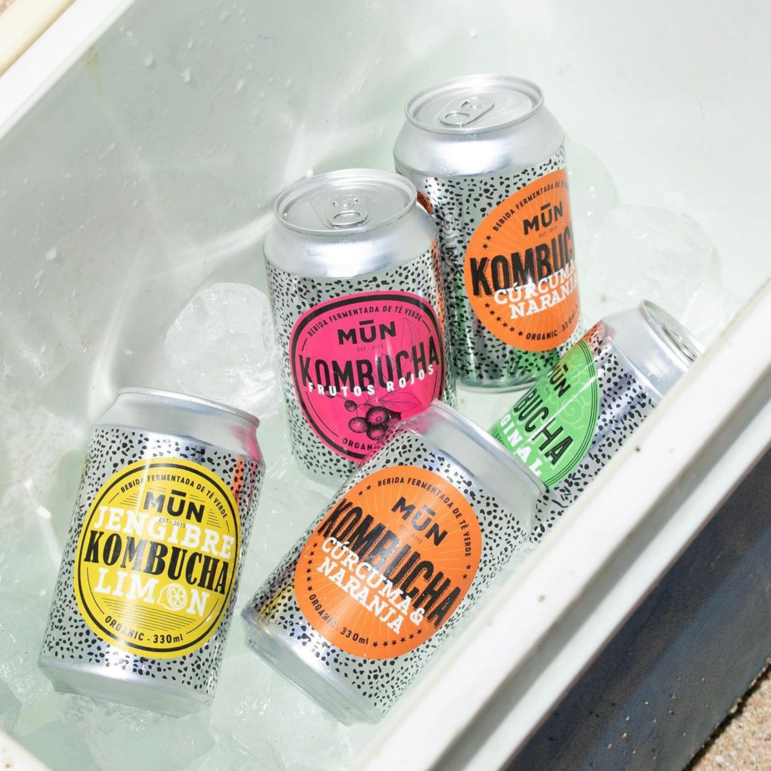 330 ml Mūn Kombucha Try Me 4 latas - MUN KOMBUCHA