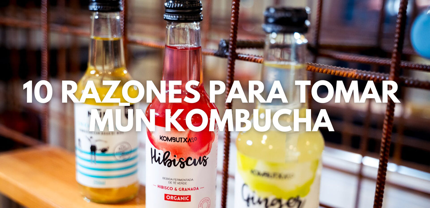 10 razones para beber kombucha