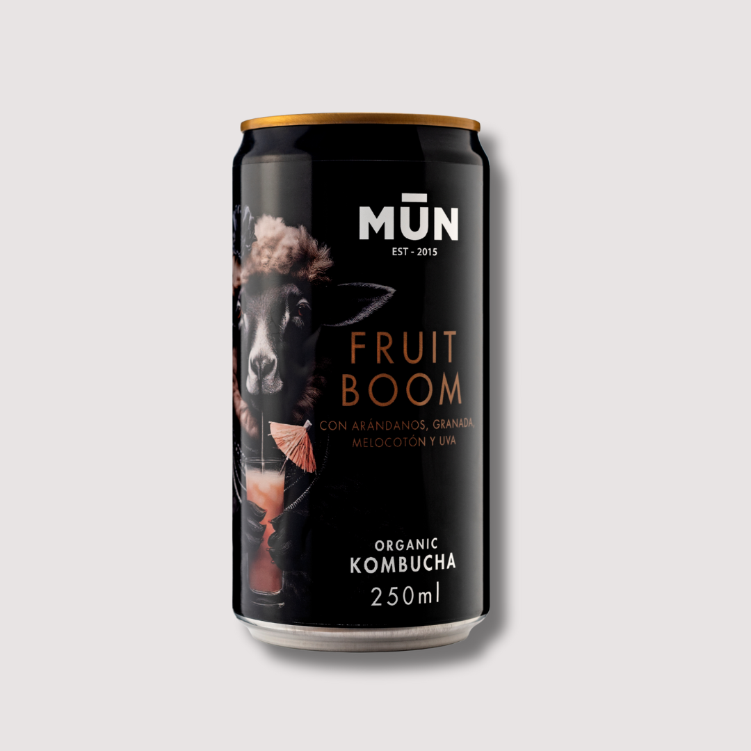 RADIKAL Fruit Boom | 16 latas 250 ml