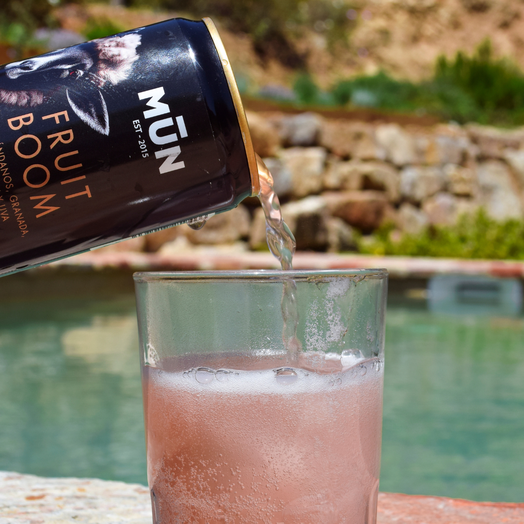 RADIKAL Mix | 16 cans 250 ml