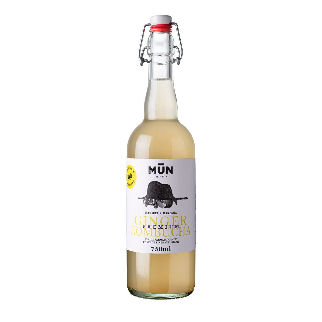 Pack BIG MIX kombucha | 6 botellas 750 ml