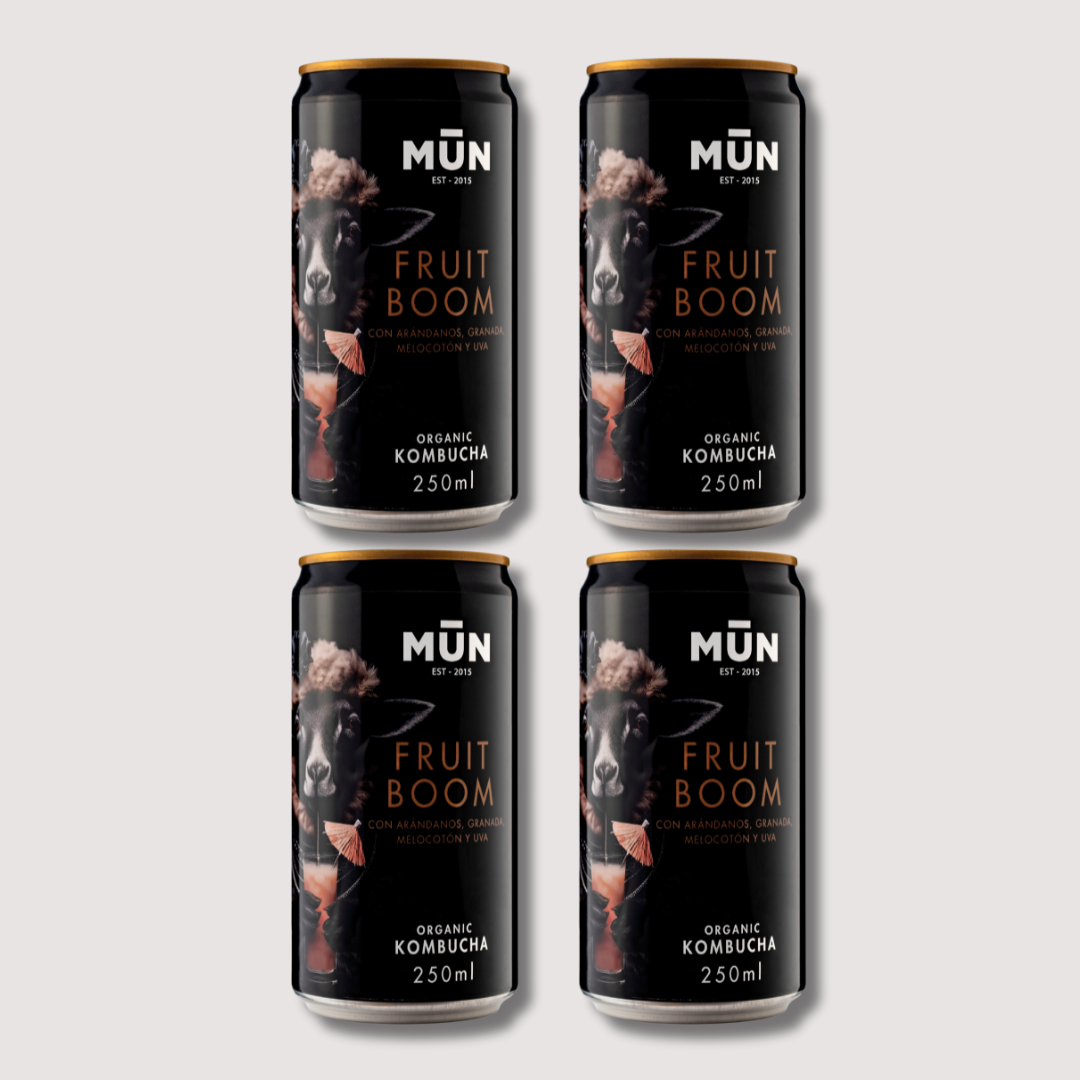 RADIKAL Try me Fruit Boom | 4 latas 250 ml